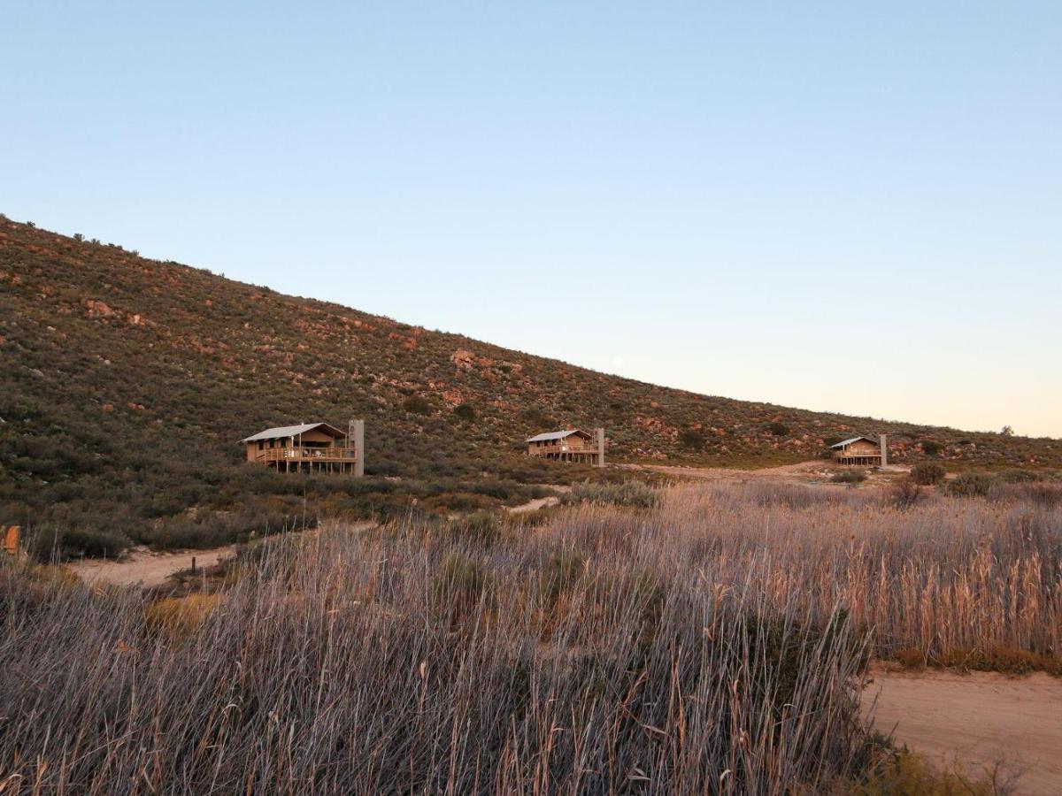 Вилла Africamps At Karoo 1 De Doorns Экстерьер фото